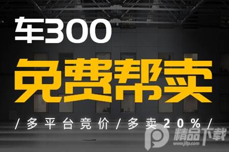 车300专业版安卓手机端