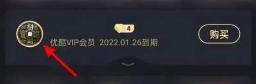 优酷视频怎么取消会员自动续费