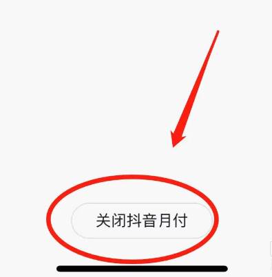 苹果手机怎么取消抖音月付功能