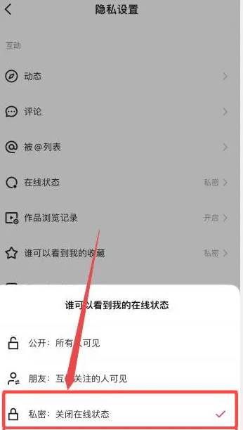快手app怎么隐身在线