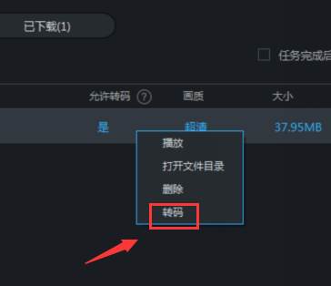 优酷下载的视频怎么转换为mp4格式
