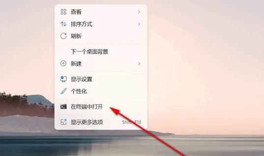 win11无法登陆onedrive怎么办