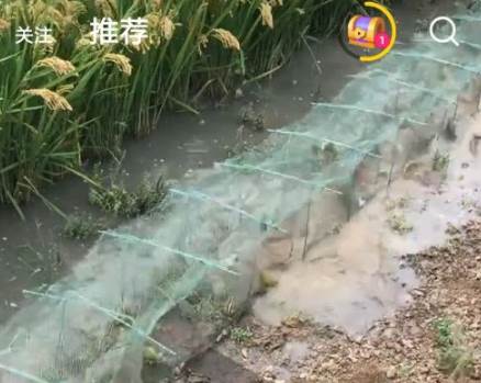 微视怎么免费白嫖腾讯会员