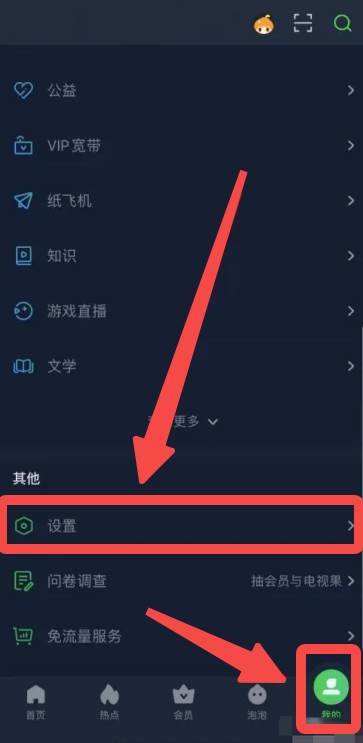 爱奇艺视频APP如何切换为海外版