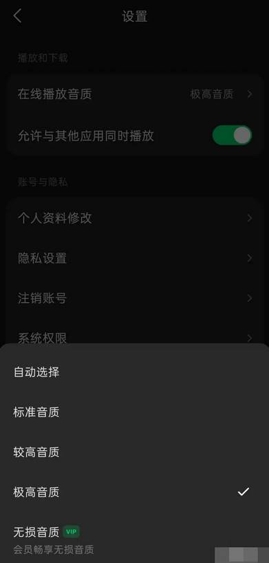 汽水音乐怎么调音效