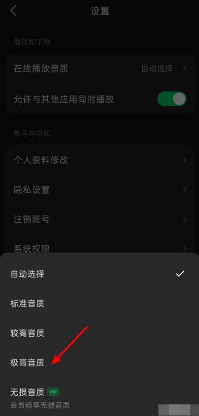汽水音乐怎么调音效