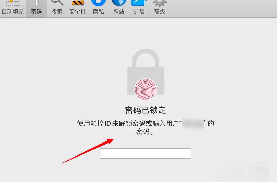 怎么查看safari保存的密码