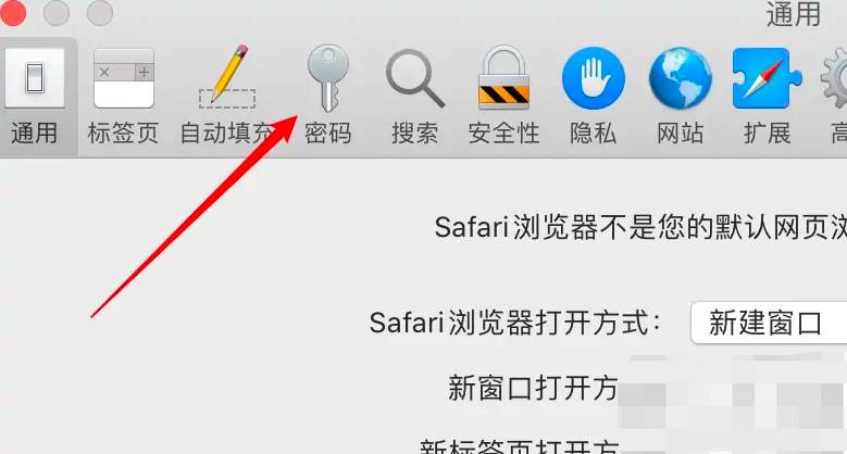 怎么查看safari保存的密码