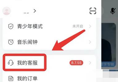 网易云音乐如何实名认证