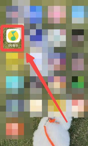 qq音乐如何绑定手机号码