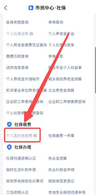 支付宝如何交医保缴费