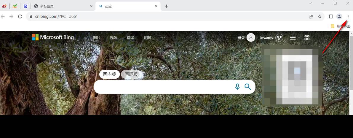 谷歌浏览器如何更新到最新版本