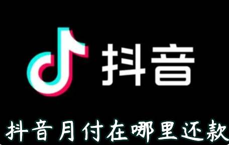 抖音月付在哪里还款
