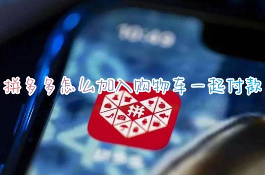 拼多多怎么加入购物车一起付款