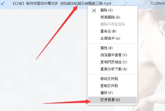 如何用维棠FLV下载网页视频