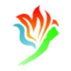 金阳融媒+app
