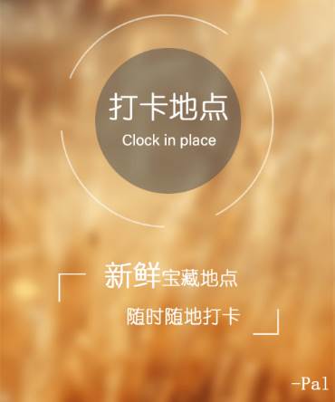 Pal脱单神器