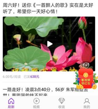 双子转app