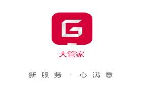 大管家巡航系统app