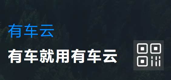 有车云车生活app