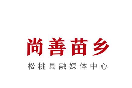 尚善苗乡app