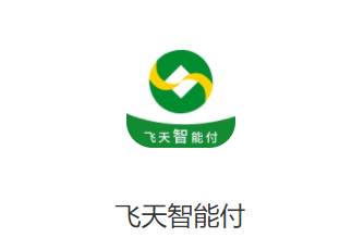 飞天智能付app