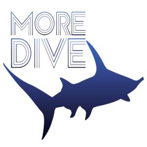 潜水指南MoreDive(潜水社交App)