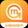 王者GM助手app