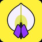 紫藤网app