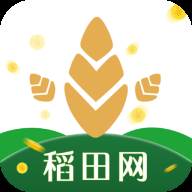 稻田网app