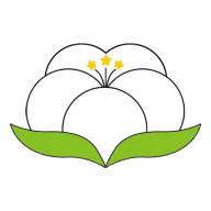 纱纤亿app