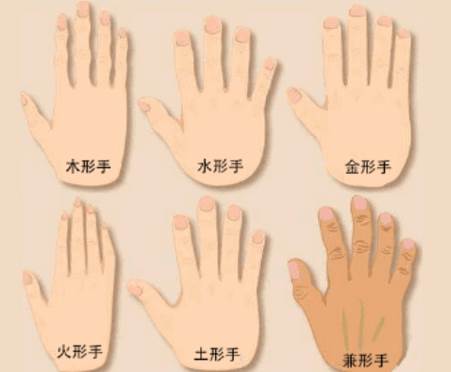 手相通天纹图解软件