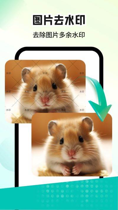 水印消消消app