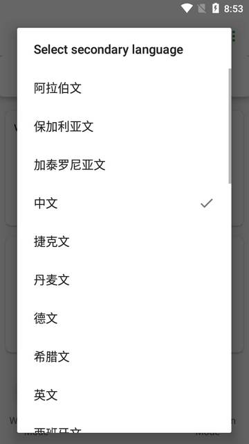 实时对话翻译RTranslator安卓版
