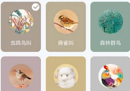 宝耳煲机app
