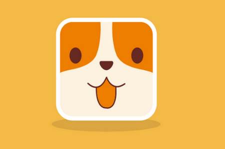 云小宠app