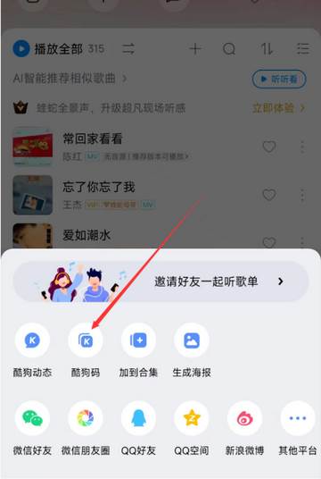 KK Player音乐安卓版