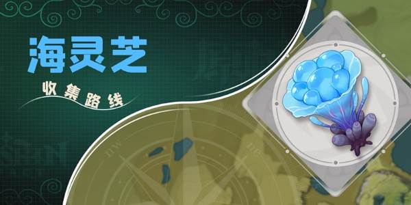 原神海灵芝采集点