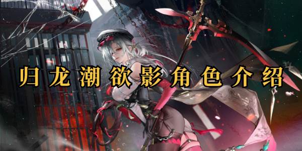 归龙潮欲影怎么样