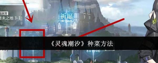 《灵魂潮汐》种菜方法(灵魂潮汐2～2)