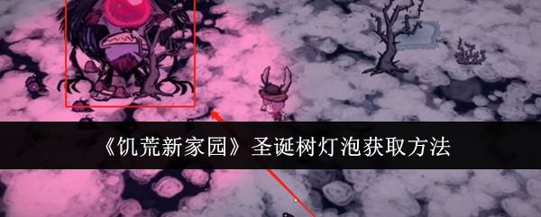 《饥荒新家园》圣诞树灯泡获取方法(饥荒新家园什么时候上线)