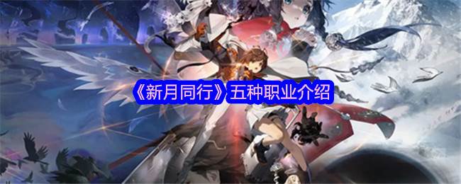 《新月同行》五种职业介绍(同新月异)