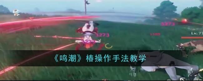 《鸣潮》椿操作手法教学(潮鸣剧社)