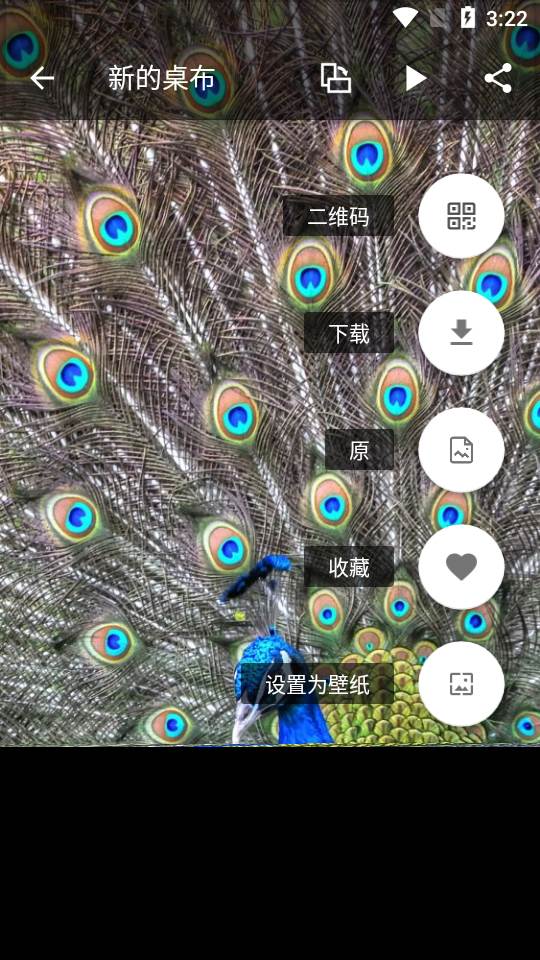 7Fon高清壁纸软件