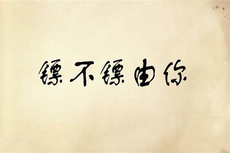 镖不镖由你手游
