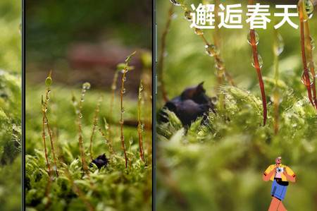 小米社区官方论坛