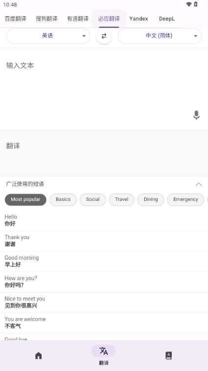 RUOK翻译软件