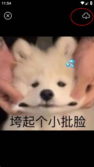 Biu神器制作正版软件