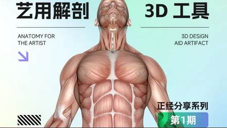 3D人体解剖图谱会员版免费版