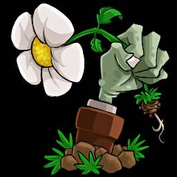 PvZ BE植物大战僵尸BE自制版(pvz 植物大战僵尸)